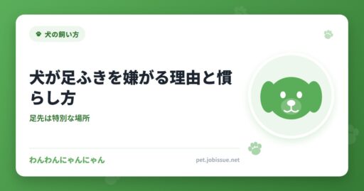 犬が足ふきを嫌がる理由と慣らし方