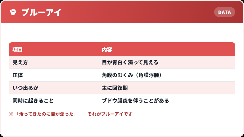 ブルーアイとは何か