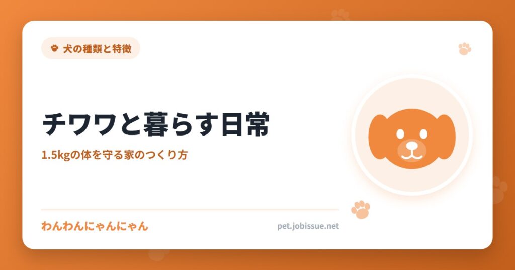 チワワと暮らす日常