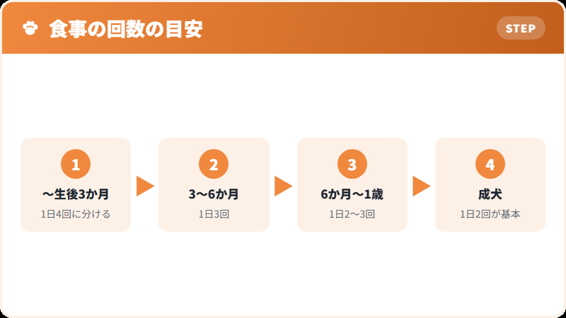 子犬期の食事の分け方