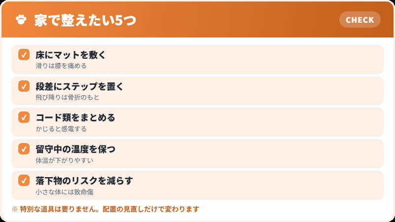 チワワのための家の環境チェックリスト