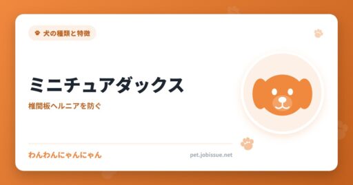 ミニチュアダックス