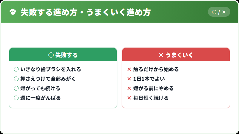 歯みがきで失敗しやすい点