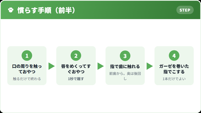 歯みがきに慣らす6段階の手順