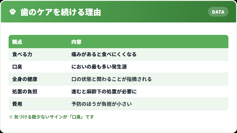 歯のケアが必要な理由