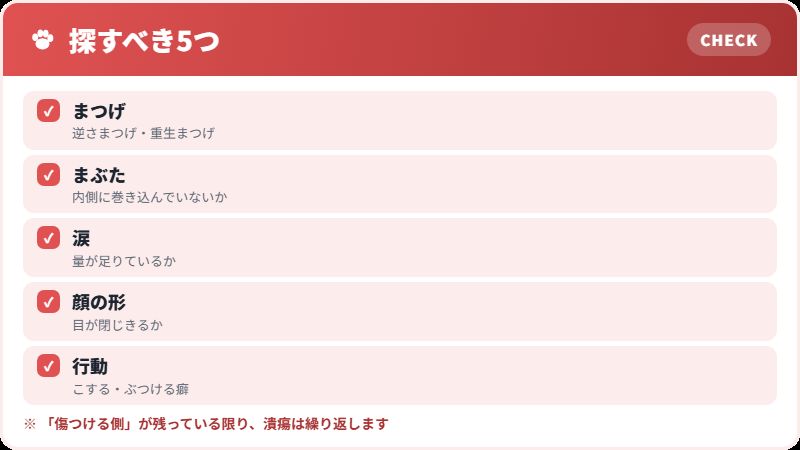 目の外にある原因