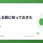 犬を迎える前に知っておきたいこと