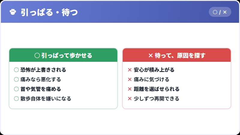 引っぱって歩かせるとどうなるか