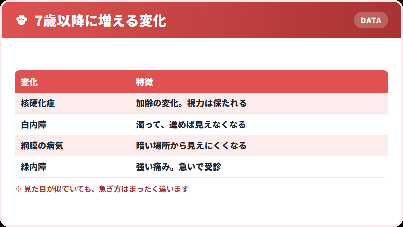 シニア期に起こる目の変化