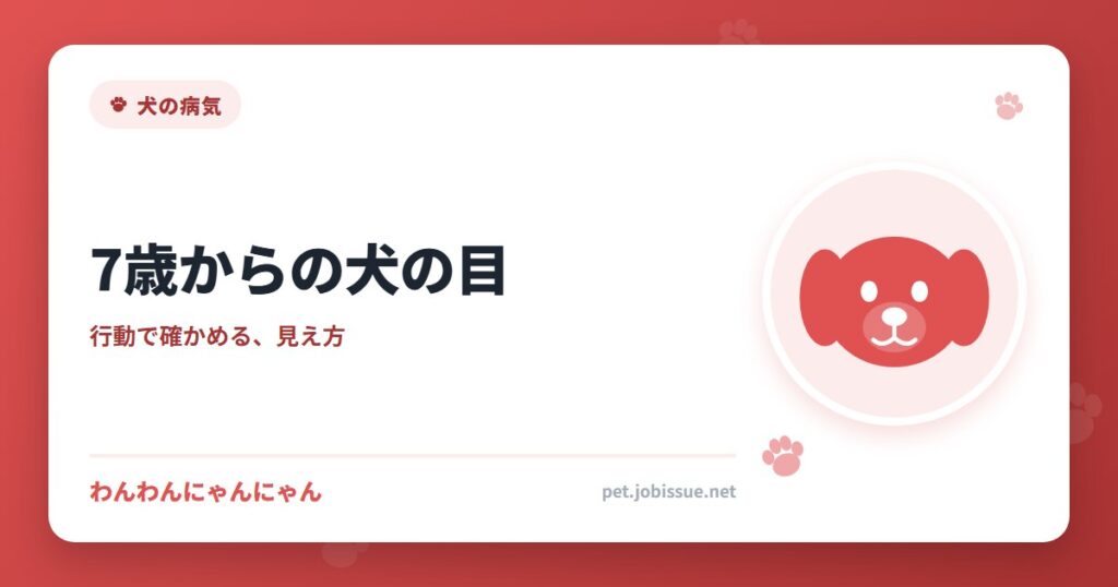 7歳からの犬の目