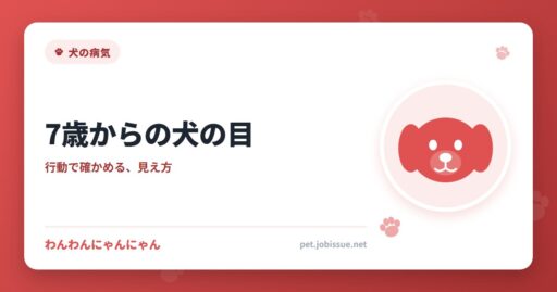 7歳からの犬の目