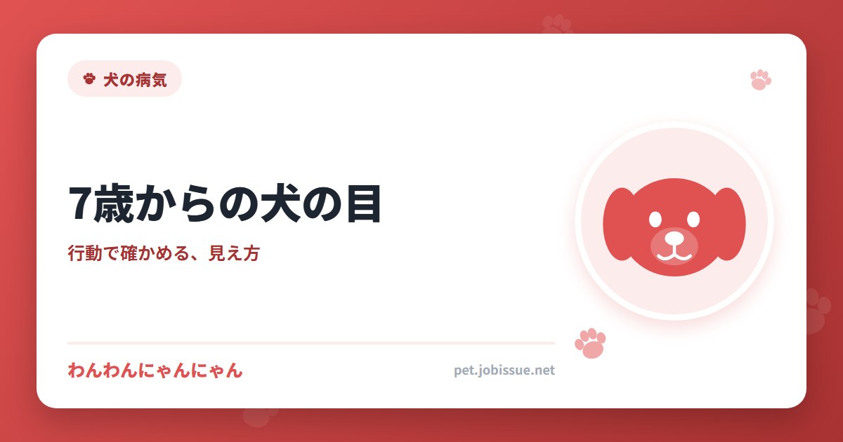 7歳からの犬の目
