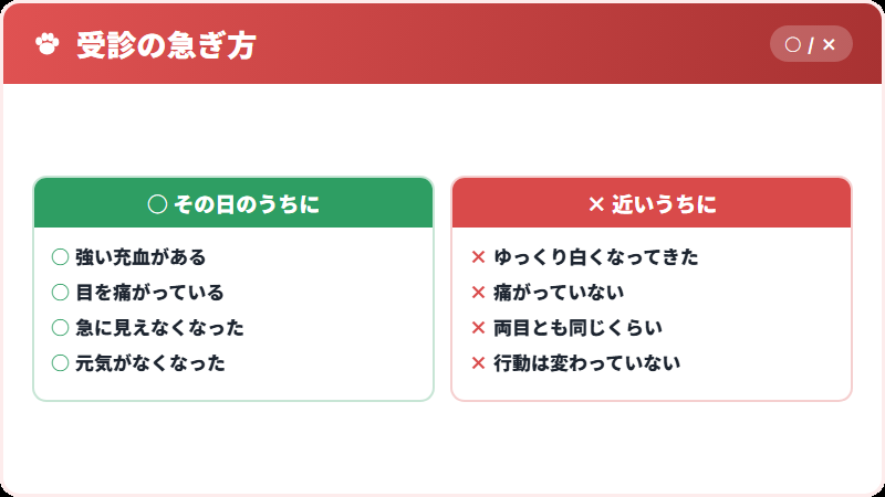 急ぐ変化と、急がない変化