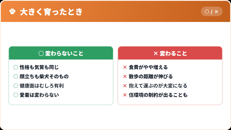 標準サイズに育った場合の考え方