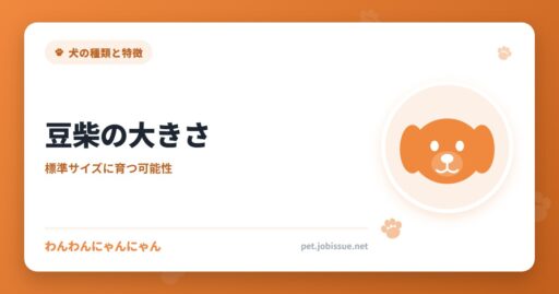 豆柴の大きさ