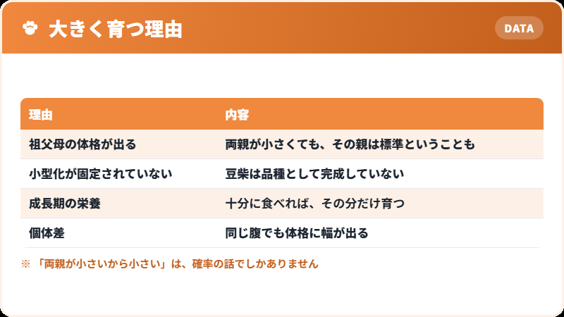 両親が小さくても大きく育つ理由