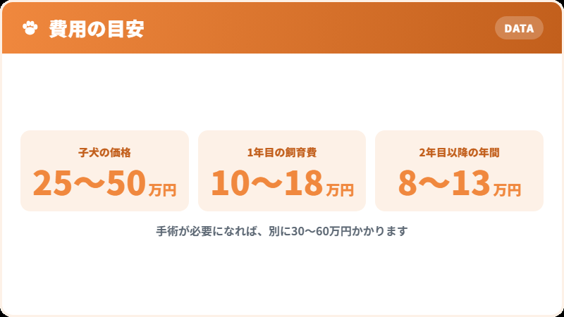 1年目にかかる費用の内訳
