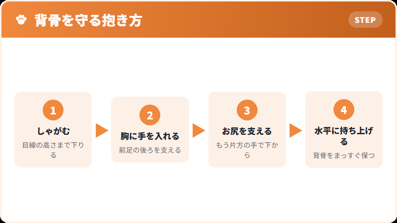 正しい抱き方の手順