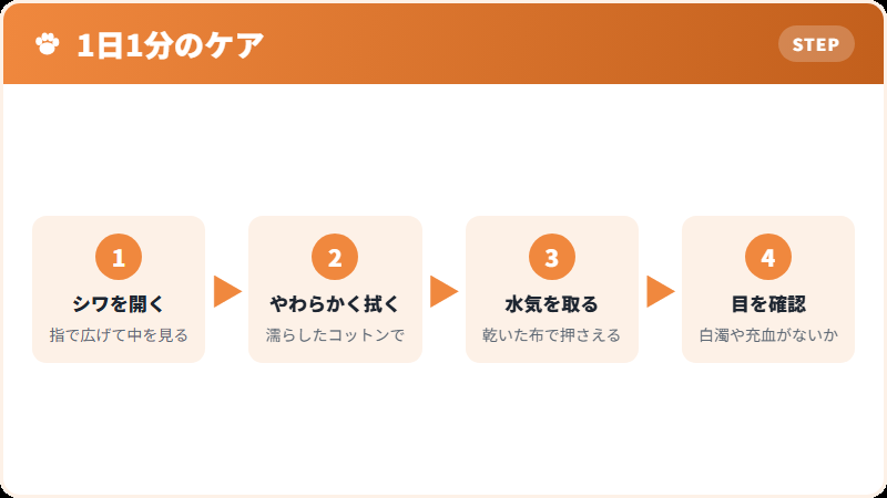 パグの顔まわりの毎日のケア