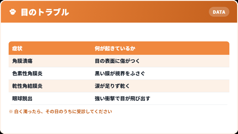 パグの目に起こりやすいトラブル