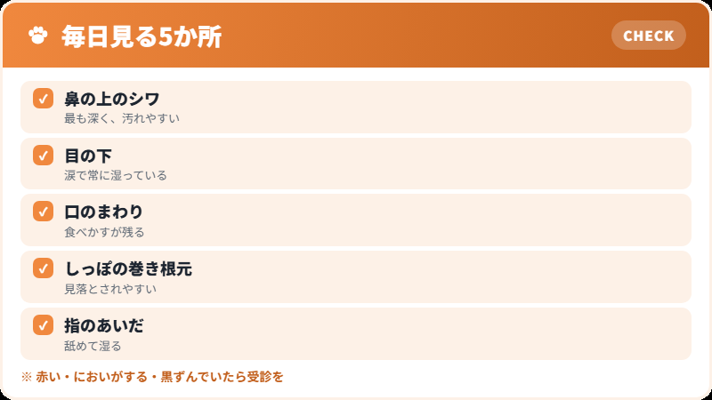 皮膚トラブルが起きやすい場所