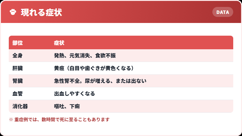 レプトスピラ症の症状