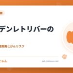 ゴールデンレトリバーの飼い方