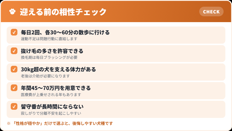 ゴールデンレトリバーとの相性チェックリスト