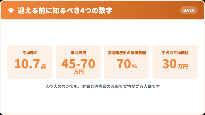 ゴールデンレトリバーを飼う前に知るべき4つの数字