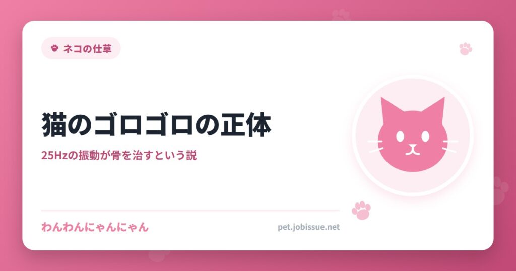 猫のゴロゴロの正体