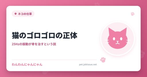 猫のゴロゴロの正体