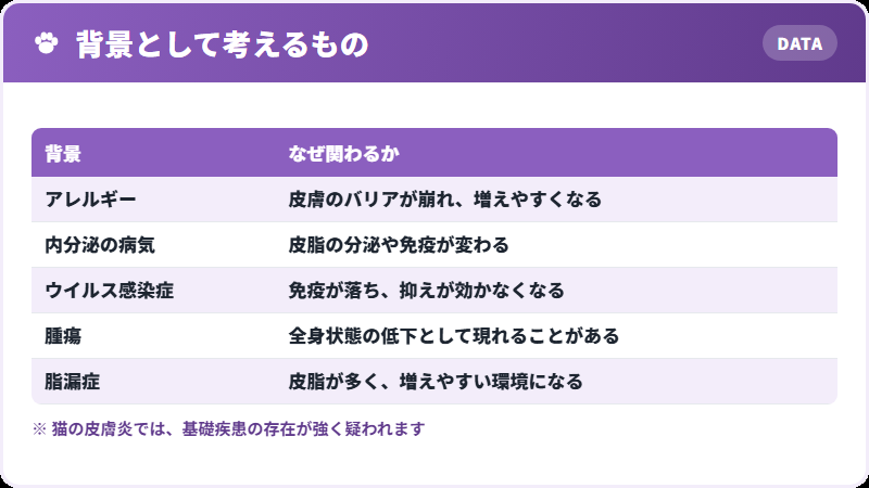 背景を探します