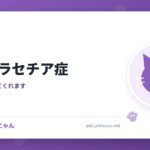 猫のマラセチア症