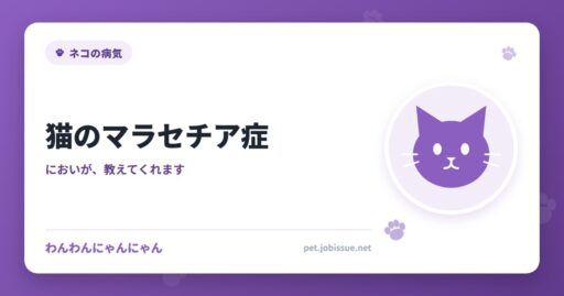 猫のマラセチア症