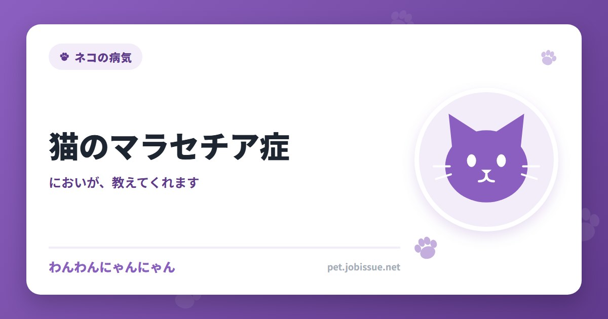 猫のマラセチア症