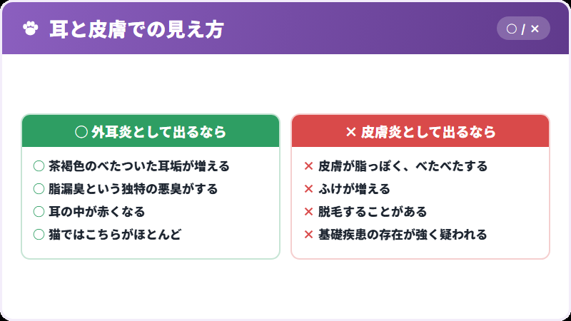 皮膚に出るとき