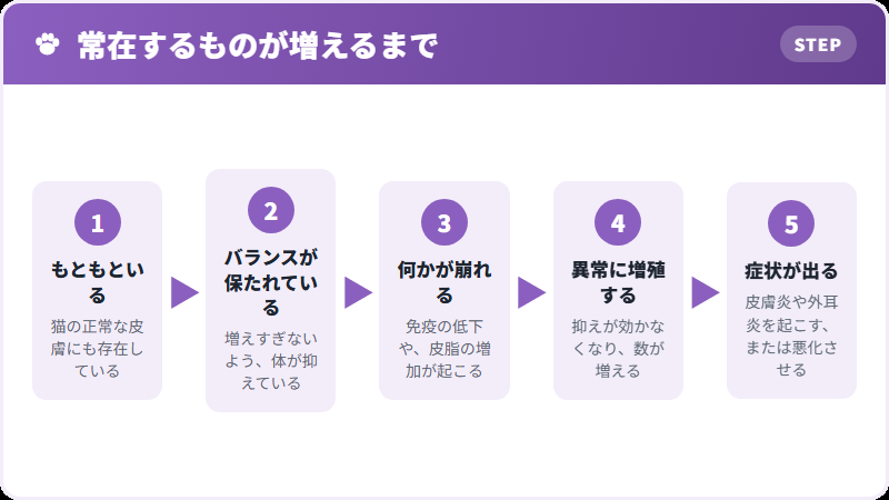 増える理由