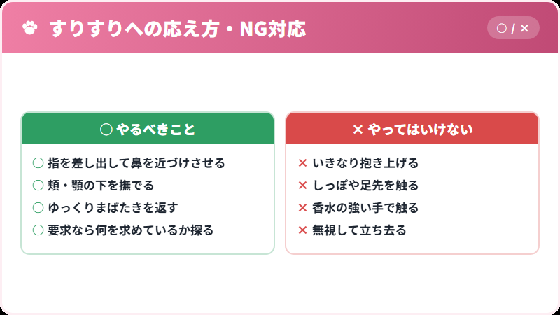 猫がすりすりしてきたときの正しい応え方とNG対応