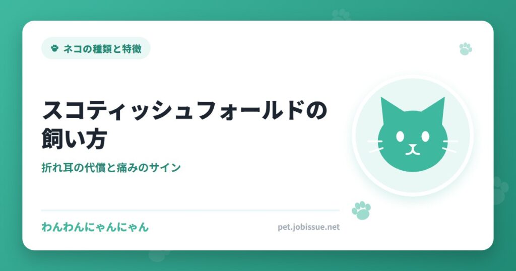 スコティッシュフォールドの飼い方