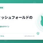 スコティッシュフォールドの飼い方