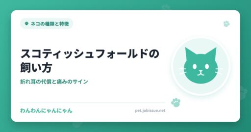 スコティッシュフォールドの飼い方