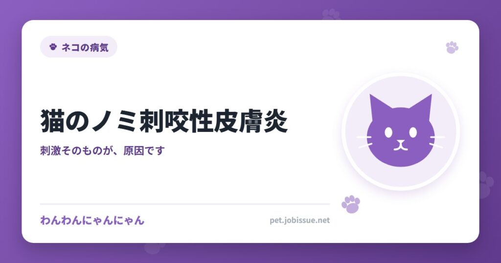 猫のノミ刺咬性皮膚炎