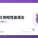 猫のノミ刺咬性皮膚炎