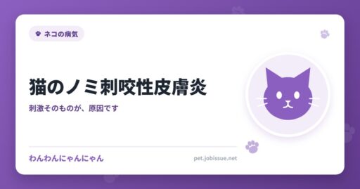 猫のノミ刺咬性皮膚炎
