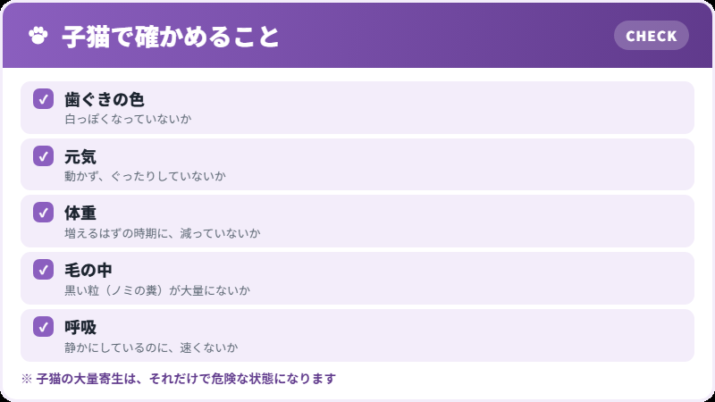 子猫でとくに危ないこと
