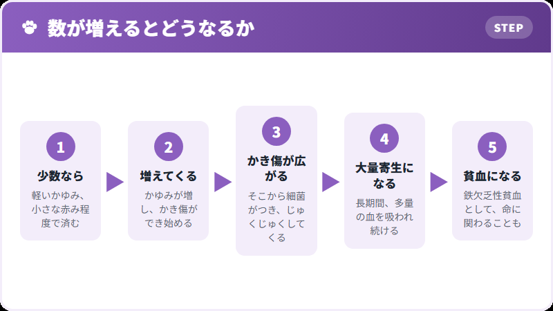 数が増えたときに起きること
