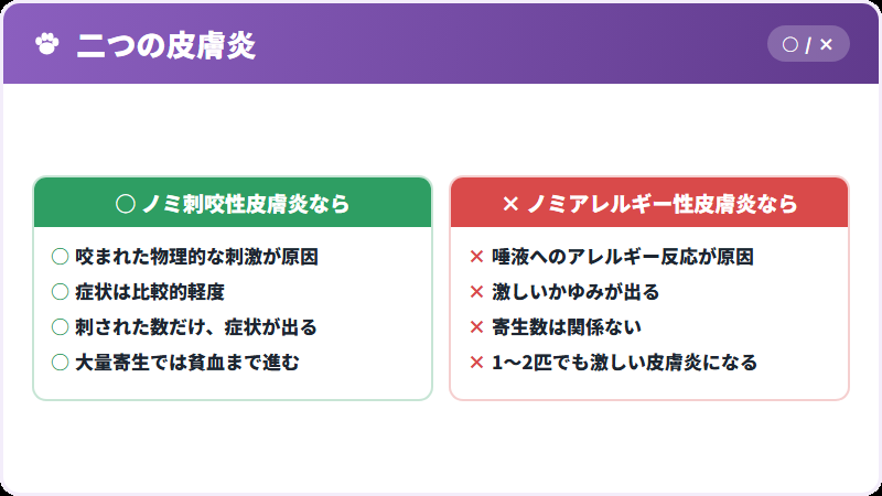 ノミアレルギーとの違い