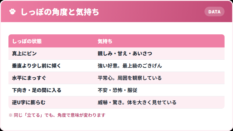 猫のしっぽの角度と気持ちの対応表
