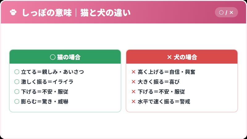 猫と犬のしっぽの意味の違いを比較した図