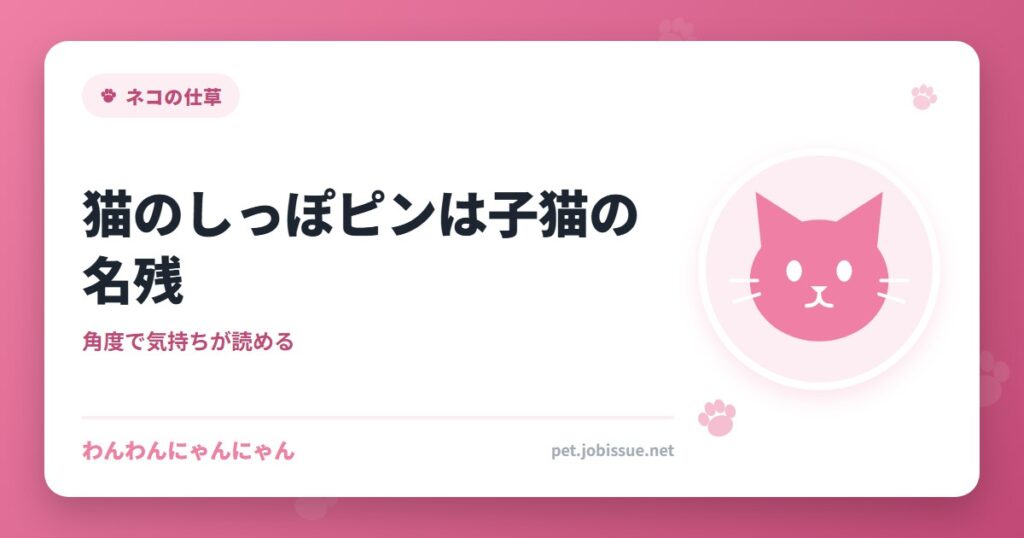 猫のしっぽピンは子猫の名残